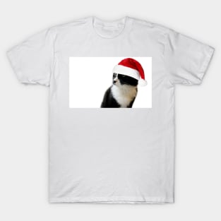 A Merry Christmas From Harvey T-Shirt